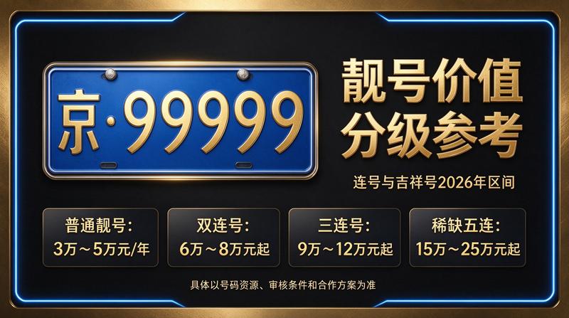 专业团队审核车牌指标